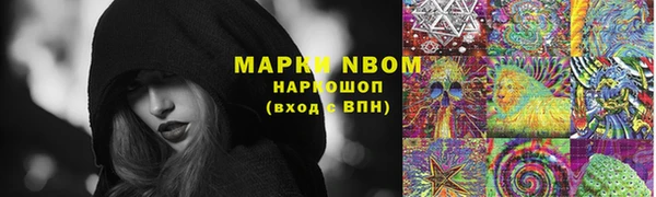 молекула духа Няндома