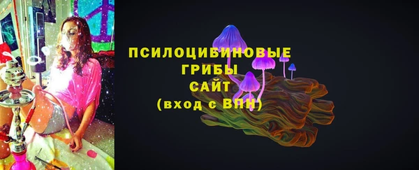 сатива Нязепетровск