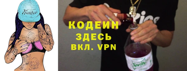 молекула духа Няндома
