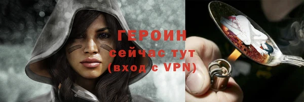 молекула духа Няндома