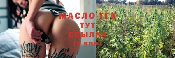 молекула духа Няндома